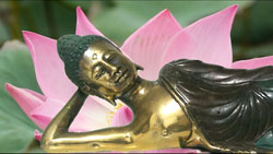 Journey-mation: Animated Journey in Bali 2011+